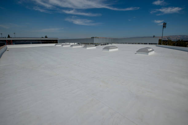 Best Emergency Roof Repair Services  in Ashford, AL