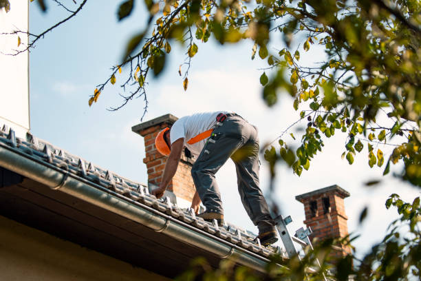 Best Storm Damage Roof Repair  in Ashford, AL