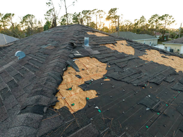 Best Gutter Installation and Repair  in Ashford, AL