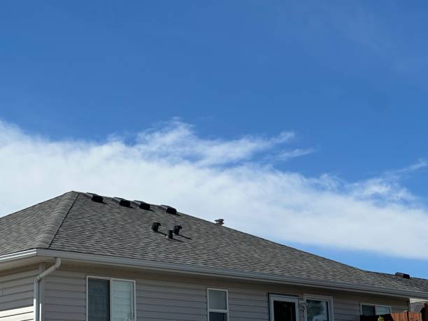 Best Storm Damage Roof Repair  in Ashford, AL